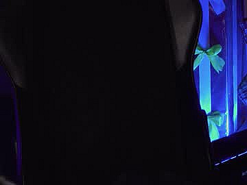 carolina_winter image