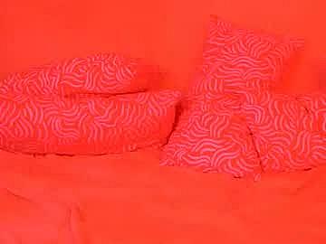 elisa_happylegs image