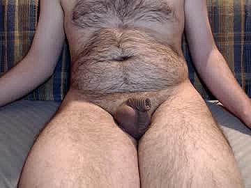 bumponyourroad image