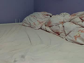 bunny_nextdoor image