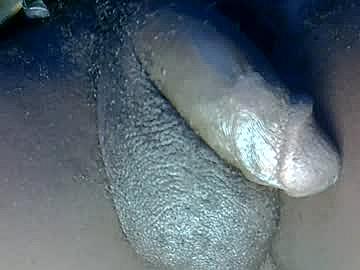 dadyschlong image