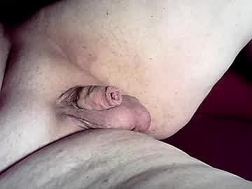 micropimmel Chaturbate Cam
