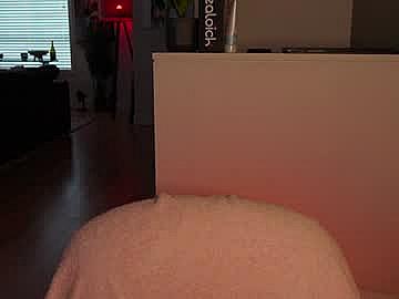 veronikavengeance image