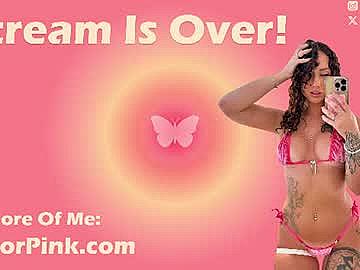 taylorpink image