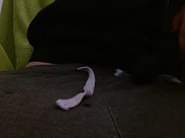 cozyafterdark image